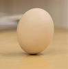 アトリエ・ミュージアム＠ブログの中からこんにちは♪　卵の不思議