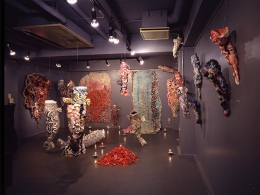 真島直子
Art Spot Furu-Furu（東京）での個展「生贄の宴」会場風景 1991年
ミクストメディア
撮影／森岡純
